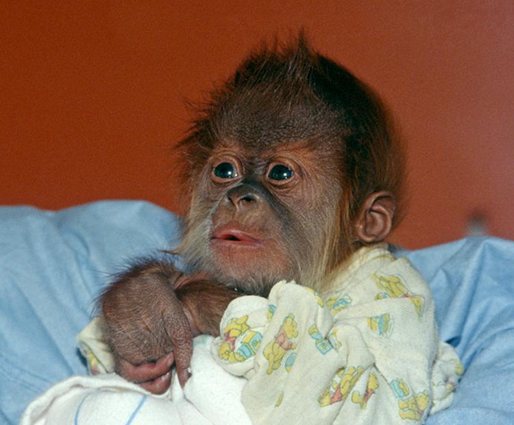 Karen as a newborn.