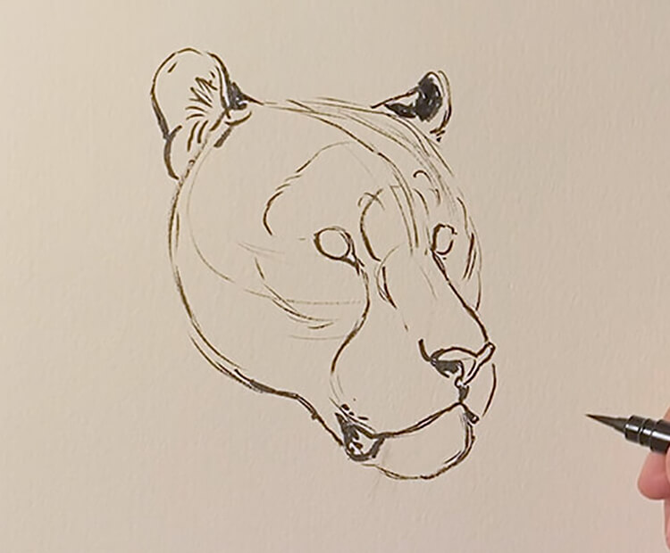 Drawing a tiger face.