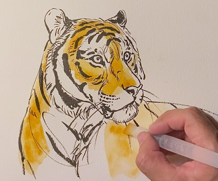 cool colored tiger drawings