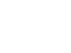 fishing cat next to soccer ball.