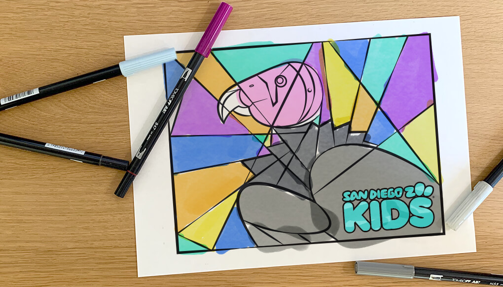 coloring page: california condor