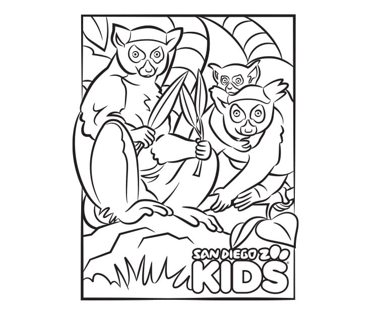 ring-tailed lemurs line art