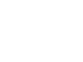 North America raccoon next to a soccer ball.
