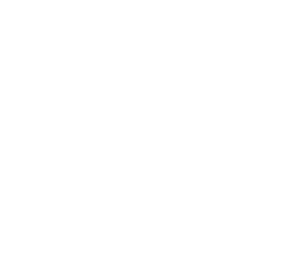 Parie dog size compared to a soccer ball