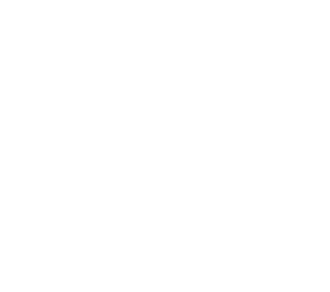 Turtle size compared to a bed.