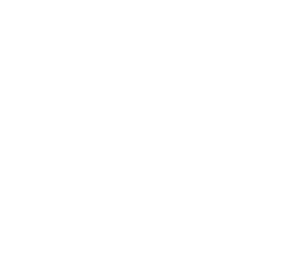 small insects and plants