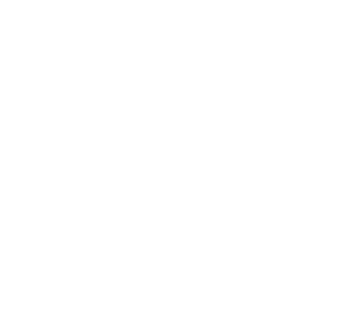 Goliath bird-eating spider size compared to a pencil