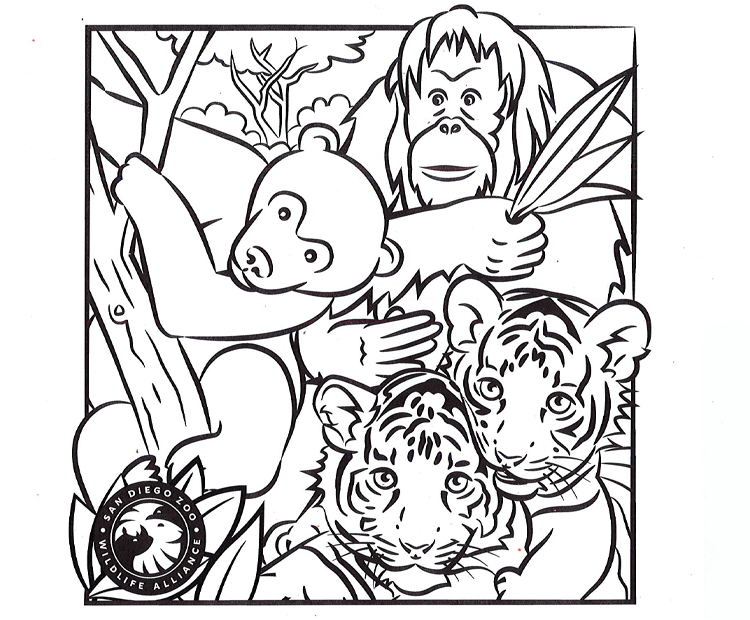 Coloring activity blank preview. 