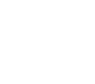 size of desert tortoise compared to a ball