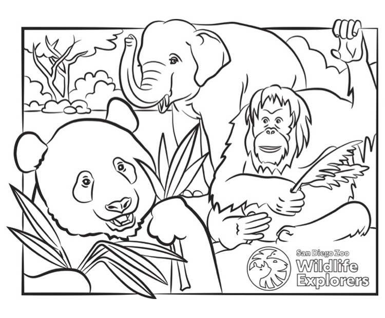 Uncolored panda, elephant, and orangutan.