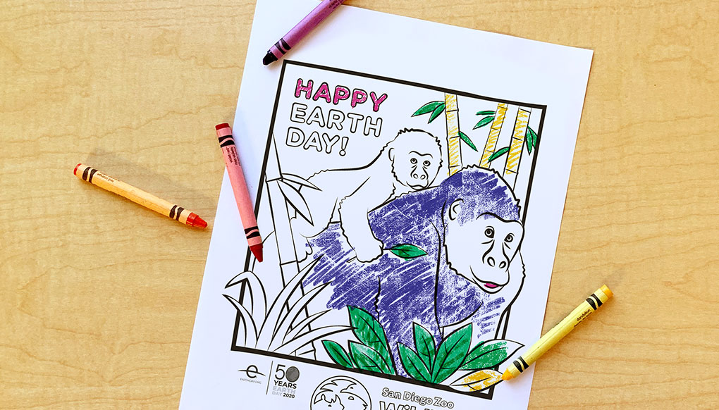 Coloring page featuring a gorilla mom and baby.