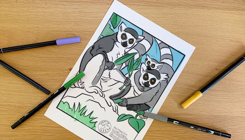 coloring page: lemurs