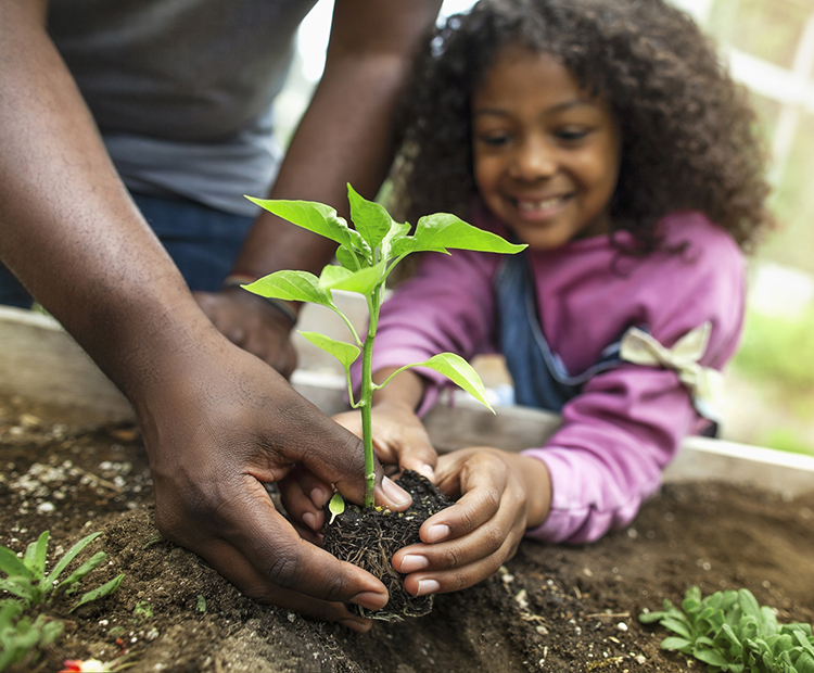 little girl planting plant