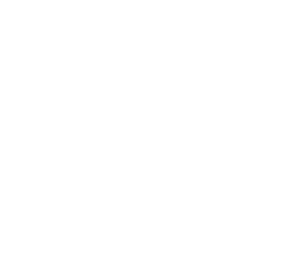 Illustration of a swinging siamang and a soccer ball