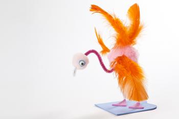 Feathered friends | San Diego Zoo Wildlife Explorers