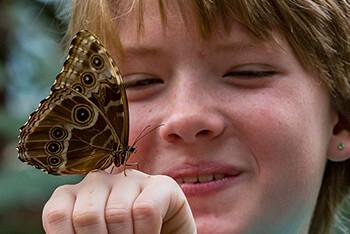 A boy smiles at a butterfly that has landed on his hand