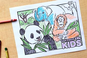Panda, orangutan, and elephant coloring page.