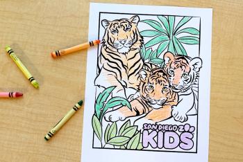 Tiger family coloring page