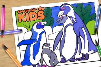 African penguin family coloring page.