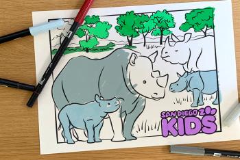 Coloring Page featuring two rhino mothers and their calves. 