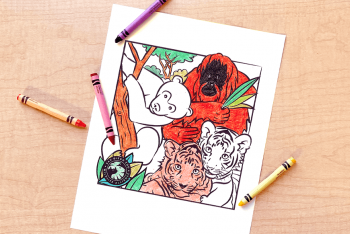 Coloring page with bear, orangutan, and tiger cubs. 