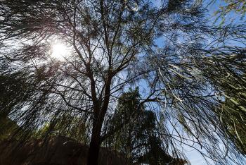 Animals | San Diego Zoo Wildlife Explorers