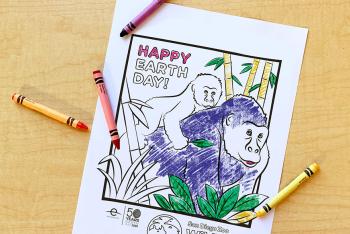 Coloring page featuring a gorilla mom and baby.
